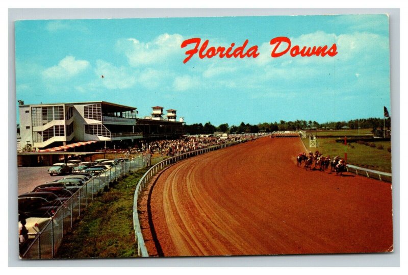 Vintage 1950's Postcard Florida Downs Horse Racing Track Oldsmar Florida 