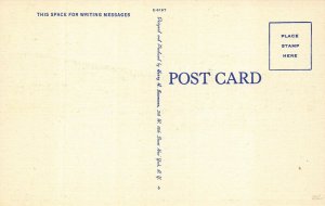 LaGuardia Field NY Trans-Canada Airliner Lockheed Lodestar Postcard