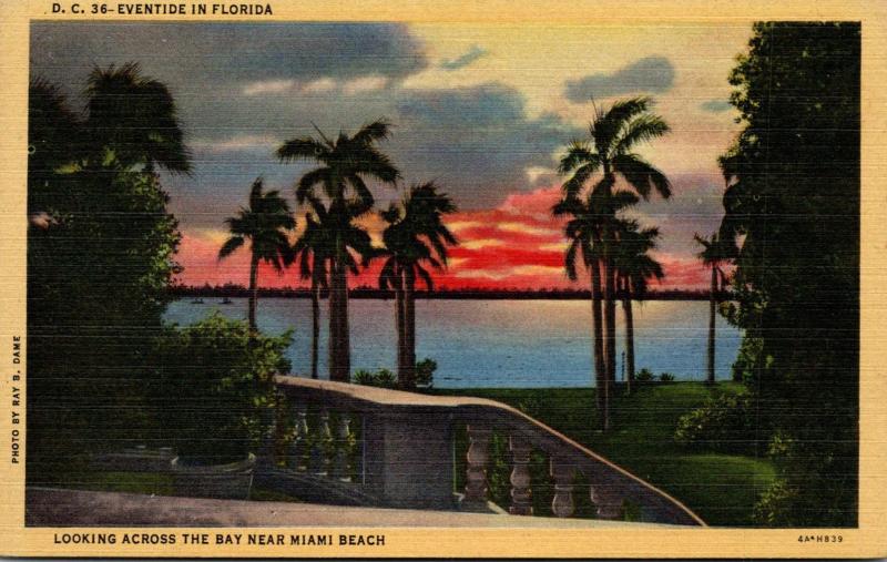 Florida Miami Beach Looking Across The Bay Curteich