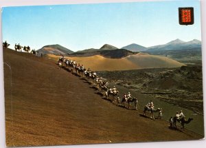 postcard Spain Canary Islands Lanzarote - Camel caravan to Fire Mountain