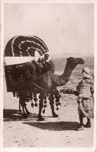 algeria, Transportation by Camel (1950s) RPPC Postcard