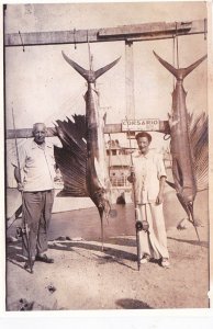 Fishing Sailfish Catch Acapulco Mexico Photo