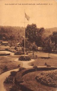 Maplecrest New York Sugar Maples Old Glory Antique Postcard K83115