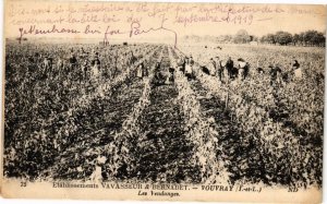 CPA VOUVRAY - Les Vendages (211087)