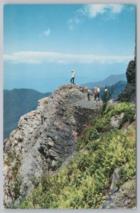 National & State Parks~Charlies Bunion Great Smoky Mts Park~Vintage Postcard
