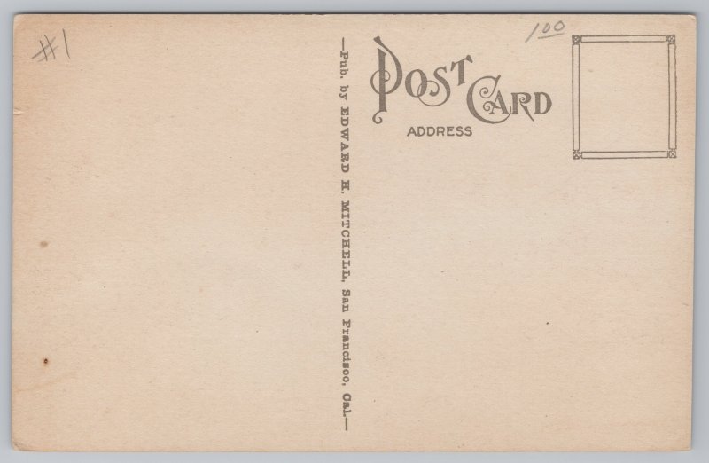 Boating On Stow Lake~Golden Gate Park~CA~Edward E Mitchell Pub~Vintage Postcard