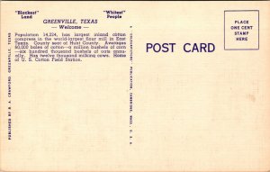 Linen Postcard United States Post Office in Greenville, Texas