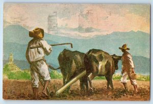 Ensenada BC Mexico Postcard Carabao in Farm Work Fred Liebig Art 1937