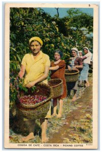 1951 Four Ladies Picking Coffee Codiga De Cafe Costa Rica Vintage Postcard