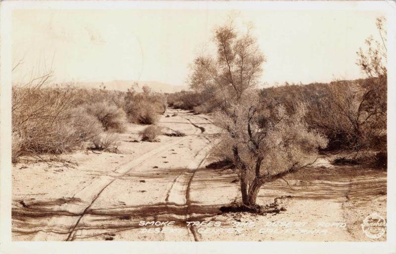 DESERT CENTER CALIFORNIA~SMOKE TREES & DESERT ROAD-REAL PHOTO POSTCARD 1944 PSMK