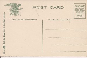 Zebra Portrait 1910-18 African Animals