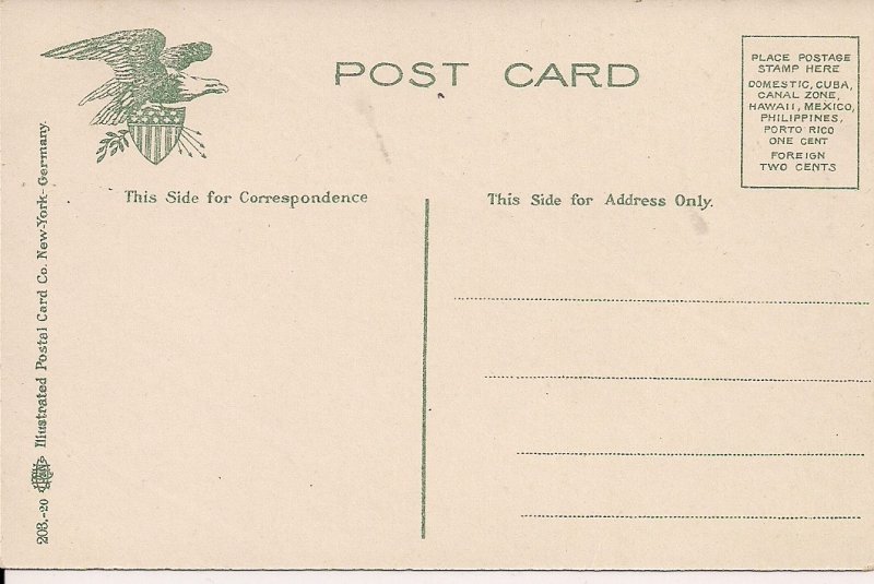 Zebra Portrait 1910-18 African Animals