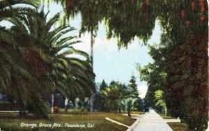Orange Grove Avenue, Pasadena CA Residential Area Vintage c1910 Postcard G20