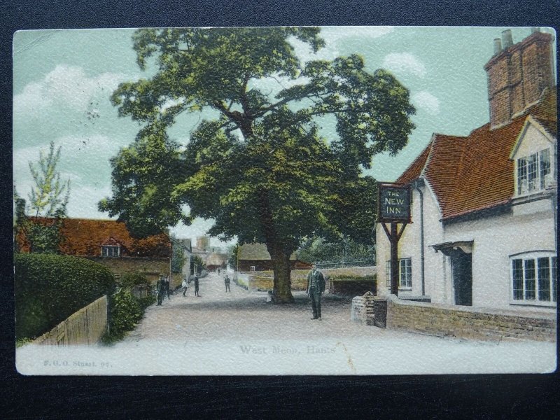 Hampshire NEW FOREST West Meon THE NEW INN c1905 Postcard by F.G.O. Stuart