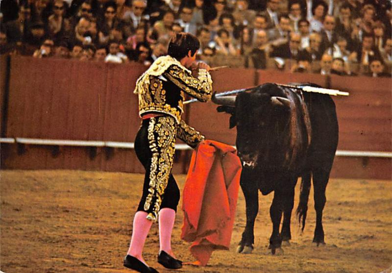 Toros, Ready for the Killing Tarjeta Postal Bullfighting Unused