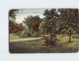 Postcard Loomis Park Jackson Michigan USA