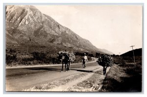 RPPC Man With Burros on Road To Santiago Baja California Mexico UNP Postcard H21