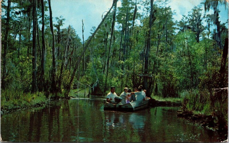 Okefenokee Swamp Park Waycross GA Georgia Postcard PM Vienna Cancel WOB Note VTG 