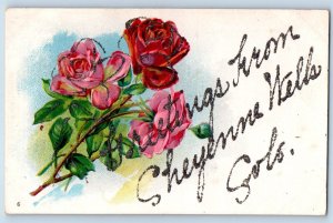 Cheyenne Wells Colorado Postcard Greetings Flowers Glitter Embossed 1910 Vintage