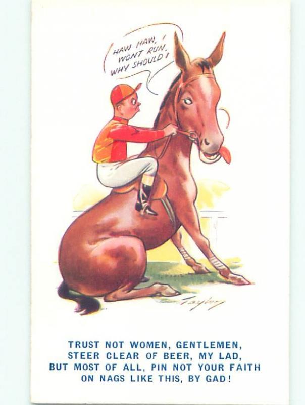 Divided-Back HORSE SCENE Great Postcard AA9451