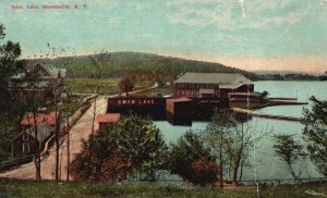 Vintage Postcard Swan Lake Bridge Stevensville New York American News Co. Pub.