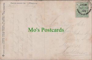 Genealogy Postcard - Parks, 5 Clarence Street, Staines, Middlesex GL55