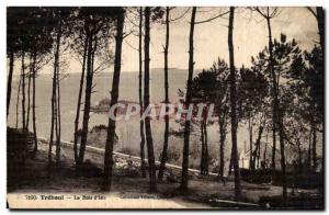 Old Postcard Treboul Le Bois of Isis