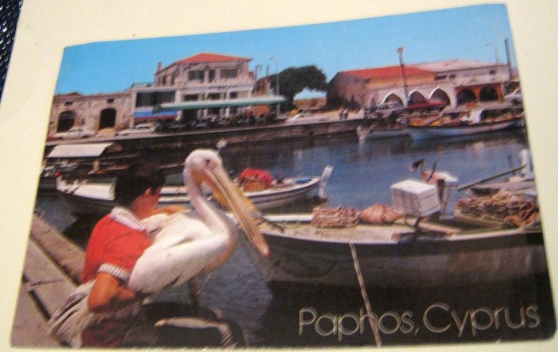 Cyprus Paphos Harbour with pelican - posted 1987