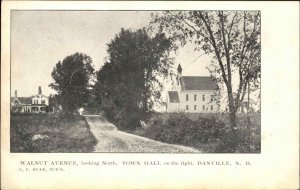 Danville NH Walnut Ave c1910 Postcard