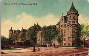 Museum Of Natural History New York City Vintage Postcard C116