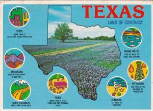 Map Of Texas With Bluebonnets and More