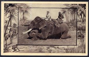 Hunters Riding Elephant