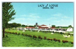 OMAHA, Nebraska NE ~ Roadside LAZY J LODGE ca 1940s  Postcard