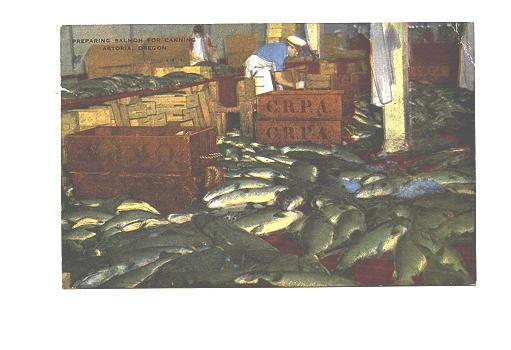 Factory Interior, Preparing Salmon for Canning, Astoria, Oregon,Used 1960