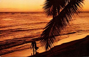 Hawaii Waikiki Beach Beautiful Sunset