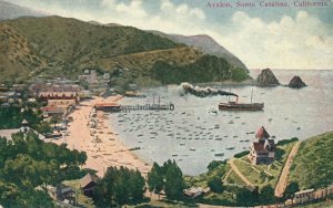 Vintage Postcard 1910's Avalon Harbor Santa Catalina Island California CA