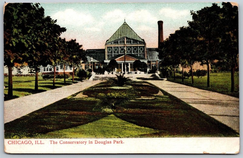 Vtg Chicago Illinois IL Conservatory In Douglas Park 1910s View Old Postcard