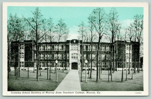 Murra KY~State College Training School~Path Between Bare Trees~BlueSky~1920s PC