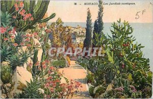 Old Postcard Monaco Exotic Gardens