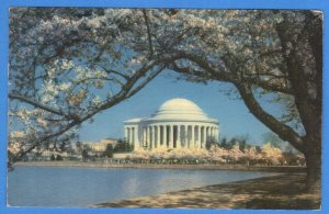 THE THOMAS JEFFERSON MEMORIAL , WASHINGTON 1954  (229)