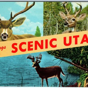 c1970s UT, Utah Greetings from Scenic Deer Art Illustrations Teich Chrome A319