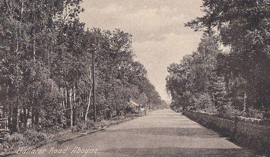Ballater Road Country Lane Aboyne Scottish Antique Postcard
