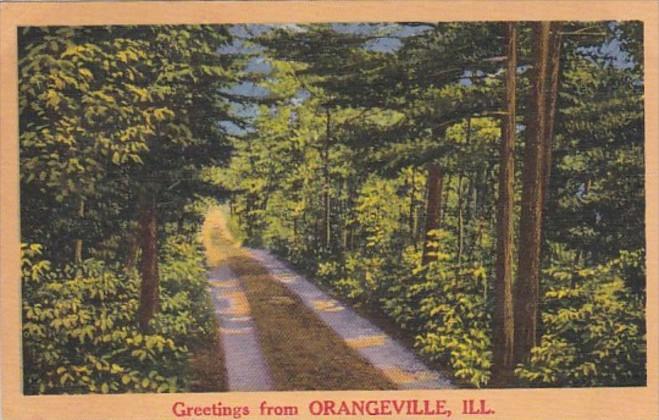 Greetings From Orangeville Illinois 1959