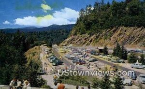Newfound Gap Highway - Great Smoky Mountains National Park, Tennessee