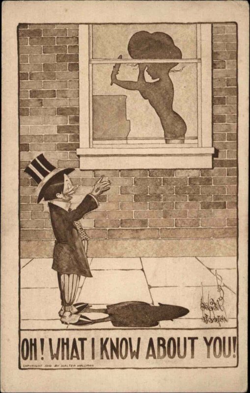Walter Wellman Comic Man Peeps on Woman in Window c1910 Postcard