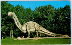 CALGARY, ALBERTA Canada  Zoo DINOSAUR PARK Dinny Brontosaurus c1960s Postcard