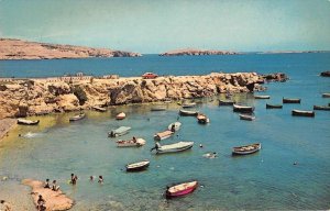St Pauls Bay Malta Scenic View Swimming Vintage Postcard AA33001