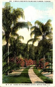 Florida West Palm Beach A Walk Lined With Palms and Flowers On The Brewer Est...