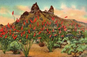 Mule Ear Peak, Chisos Mts. Texas,  now Big Bend National Park, Linen Postcard