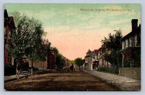 J88/ Grafton West Virginia Postcard c1910 Walnut Street Homes  469